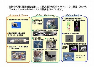 嵯峨宣彦教授