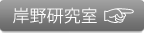 ݖ쌤